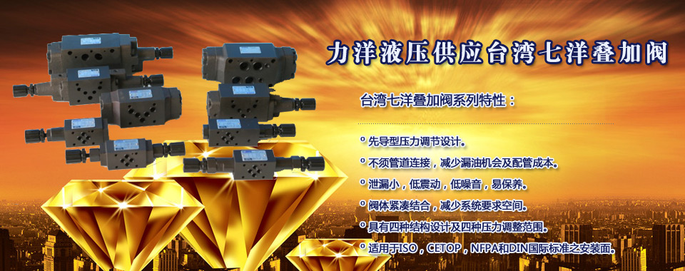 山東天瑞重工有限公司